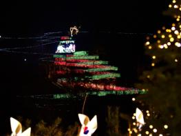 김포시, ‘3색 트리의 향연’ 애기봉평화생태공원, 새 크리스마스 명소 부상 기사 이미지